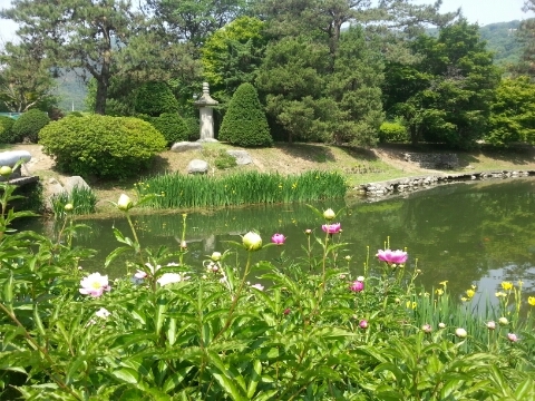 핑크가든 이미지