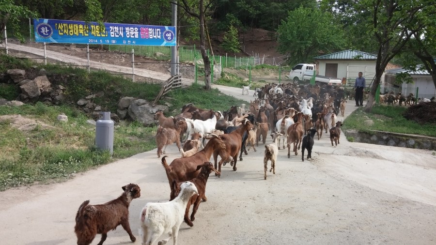 산양축산 이미지