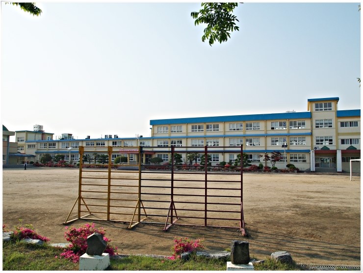 대산초등학교 이미지