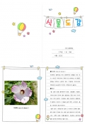 디자인도감 이미지