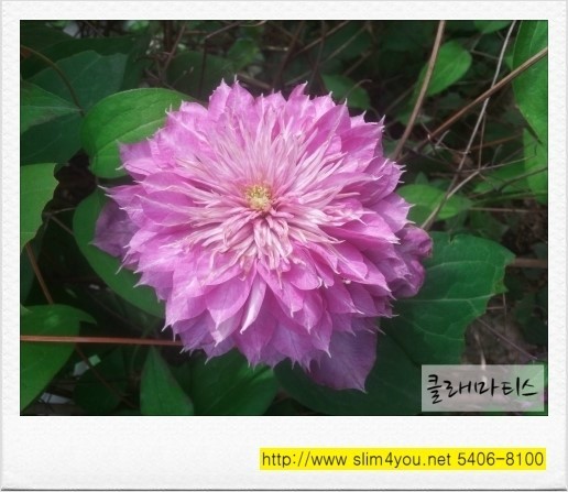 벧엘꽃농원 이미지