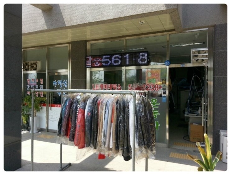 개미세탁소 이미지