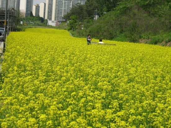 수지힐링 이미지
