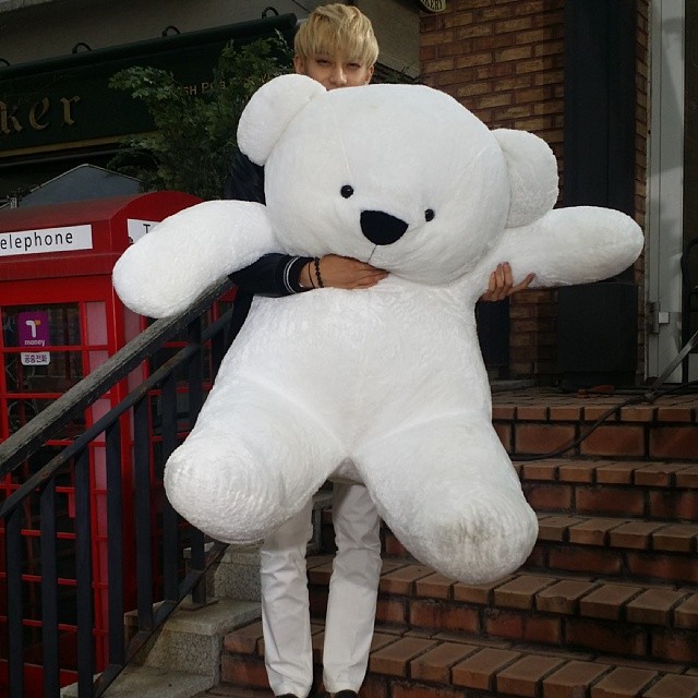 더타오 이미지