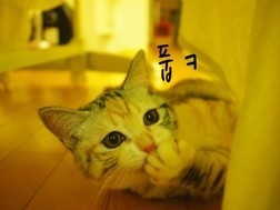 만나분식 이미지