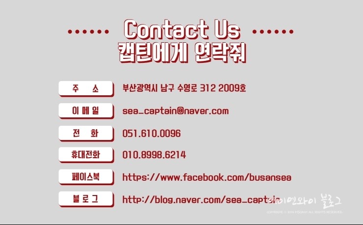 에스이에이 이미지