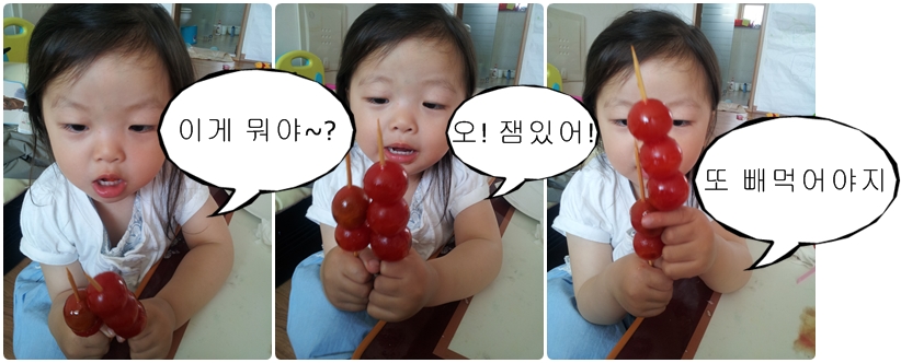 열꼬지 이미지