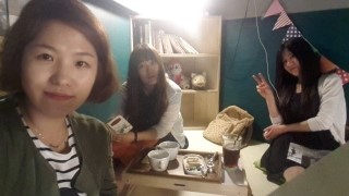 바느질하는고양이 이미지