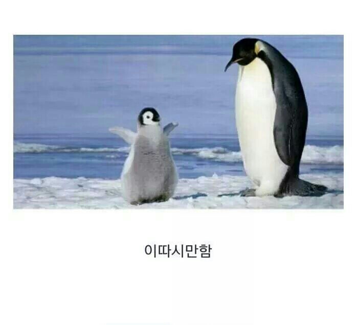 오야스미 이미지