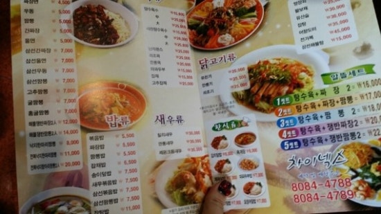 차이넥스 이미지