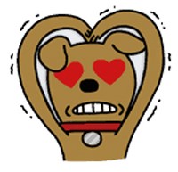 까르체 이미지