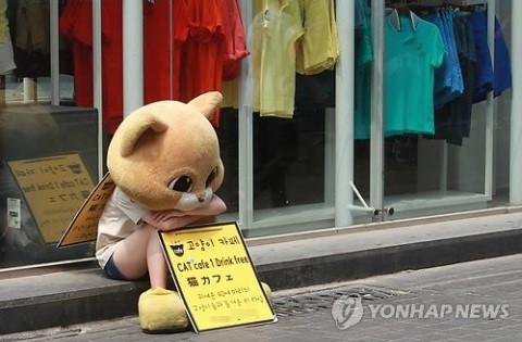 청춘들의 삶 이미지