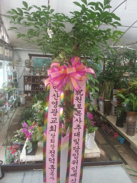 충주화원 이미지
