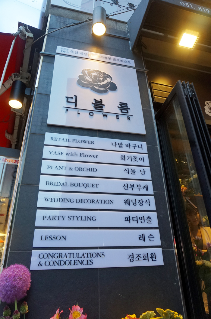 디블름 이미지