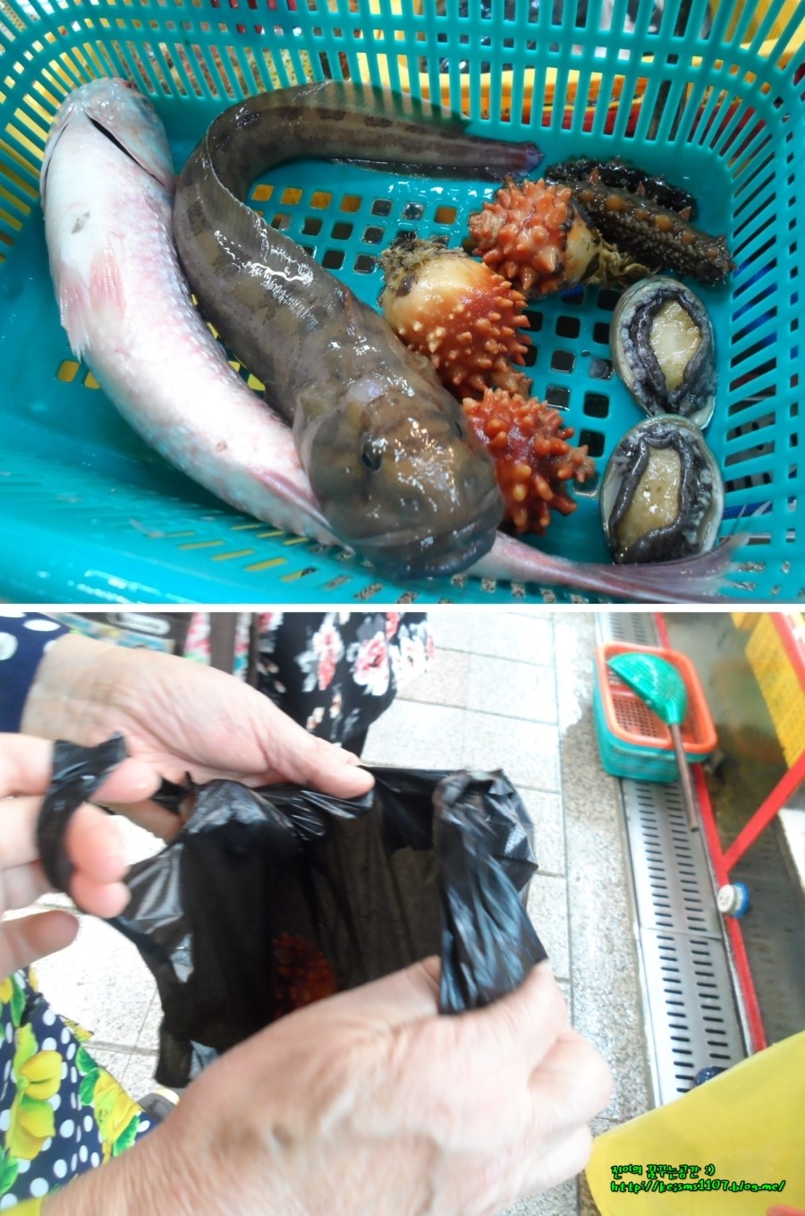 대영상회 이미지