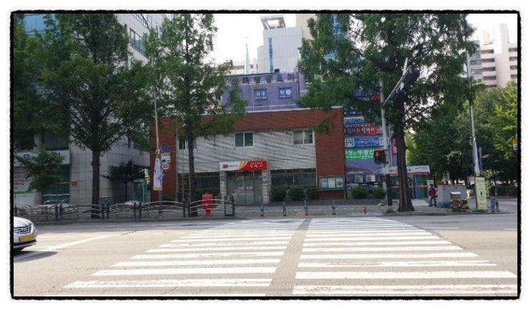 김진영행정사사무소 이미지