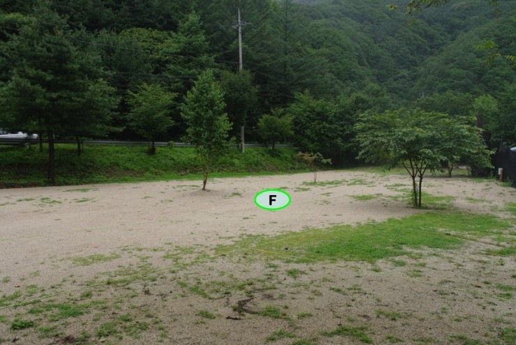 별밤캠핑장 이미지