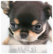 냠냠 이미지