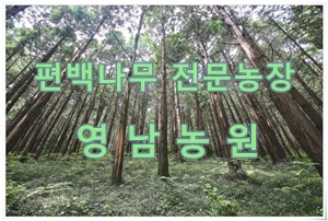 영남화분 이미지