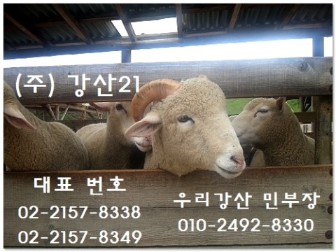 강산환경건설 이미지
