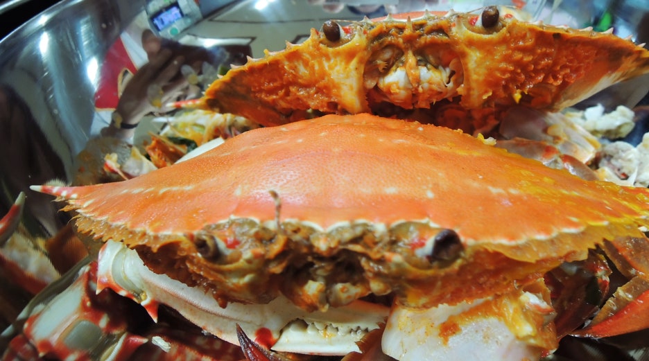 달구지식당 이미지