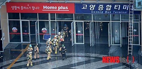 터미날6 이미지