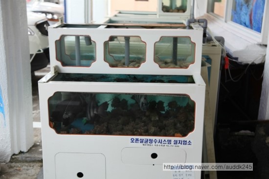 청운횟집 이미지