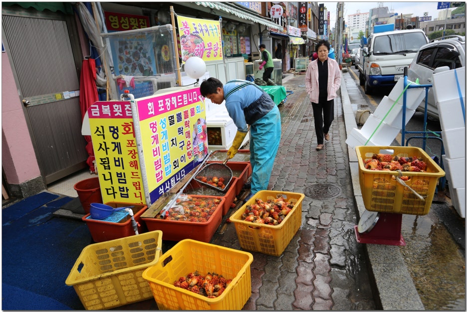 충무원조할매김밥 이미지