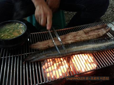 꾸어구어 이미지