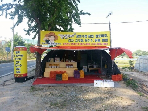 동팔이네 이미지