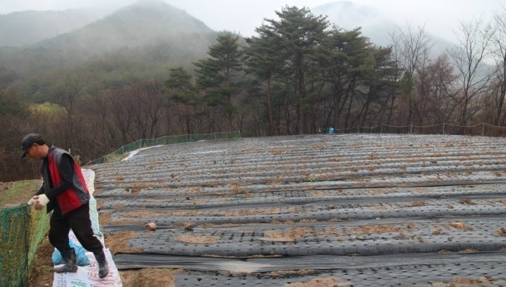 사랑해요영덕와송 이미지