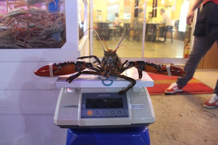 수산시장해물포차 이미지