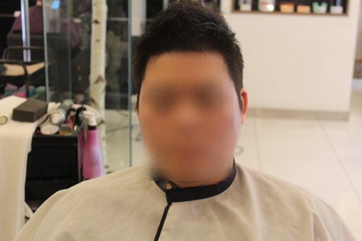 르네헤어 이미지