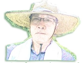 사랑해요영덕와송 이미지