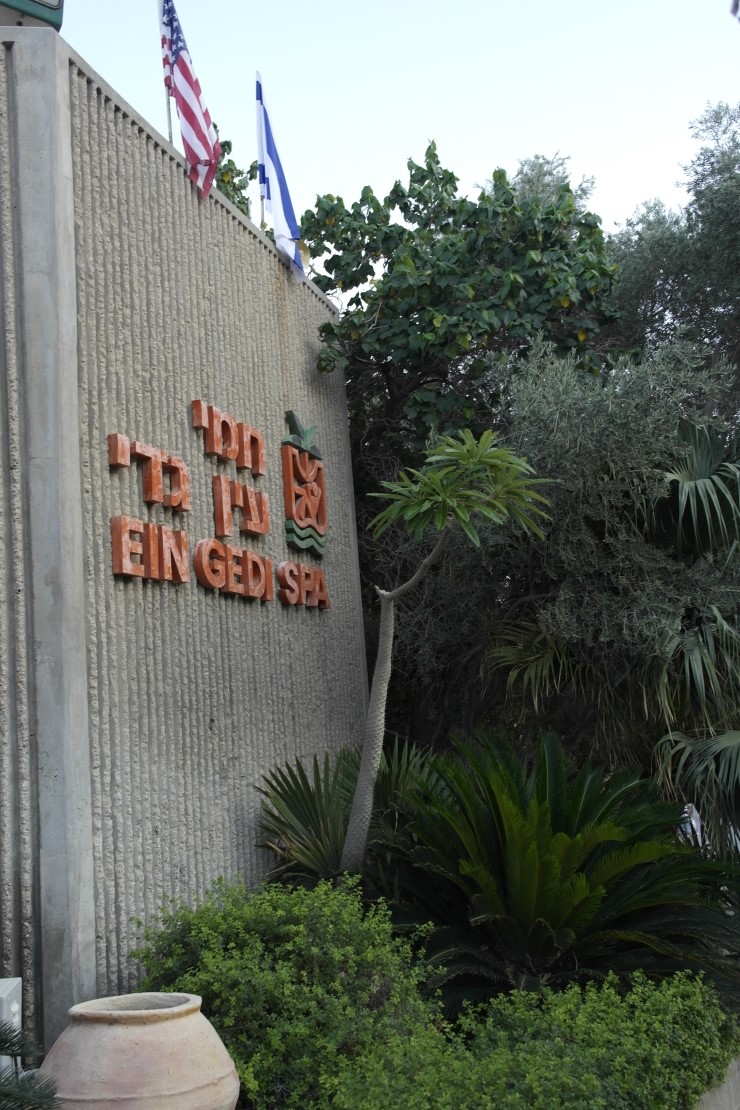 엔게디(Ein Gedi) 이미지