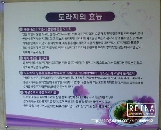 샘터농원 이미지