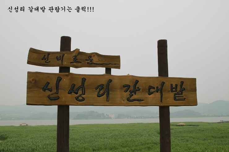 부여사나래캠핑농원 이미지
