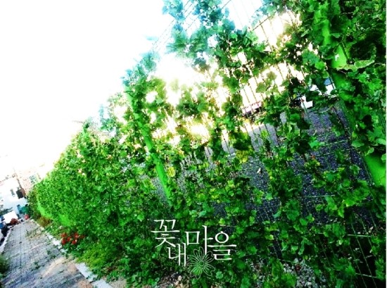 꽃내마을 이미지