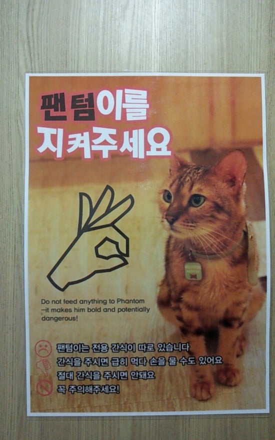 고양이다락방 이미지