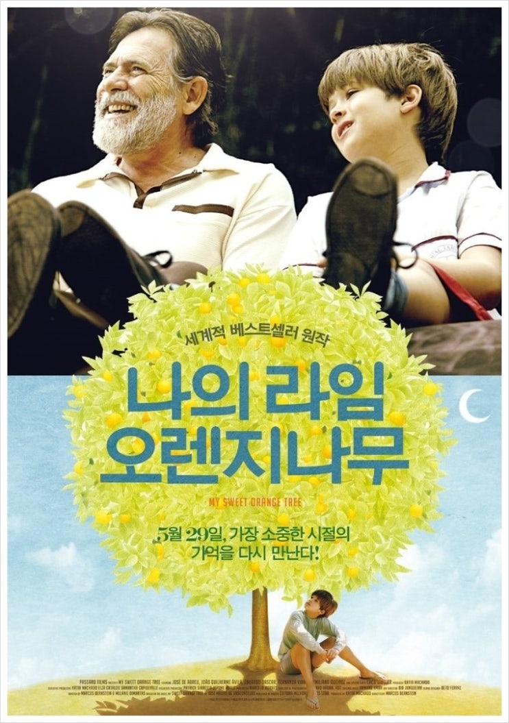 이벤트오렌지나무 이미지