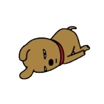 로로일레븐(RORO11) 이미지