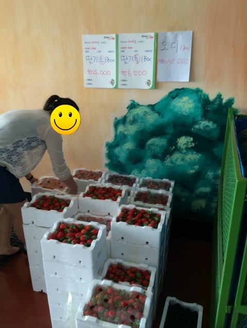 김해여성인력개발센터(김해YWCA) 이미지