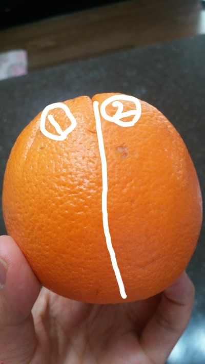 피에프케이 이미지