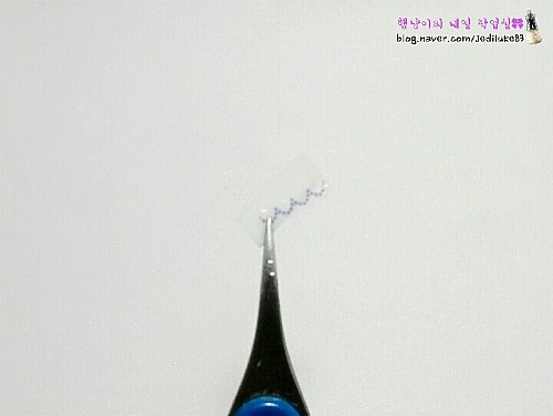 네일127 이미지