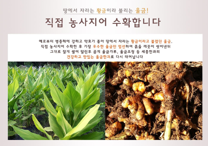 세종 바이오(BIO) 이미지