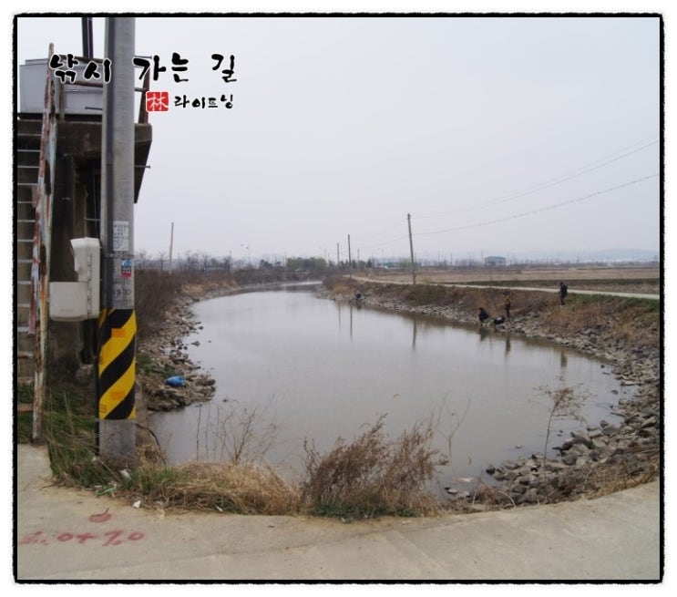 비봉자원 이미지