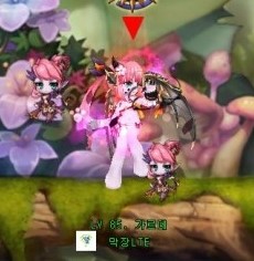 미라클코디 이미지