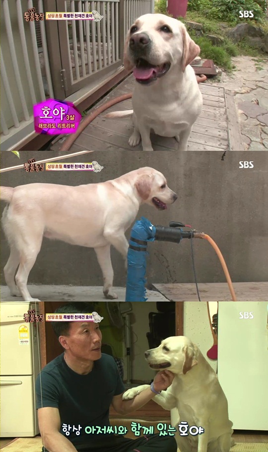 호야농장 이미지