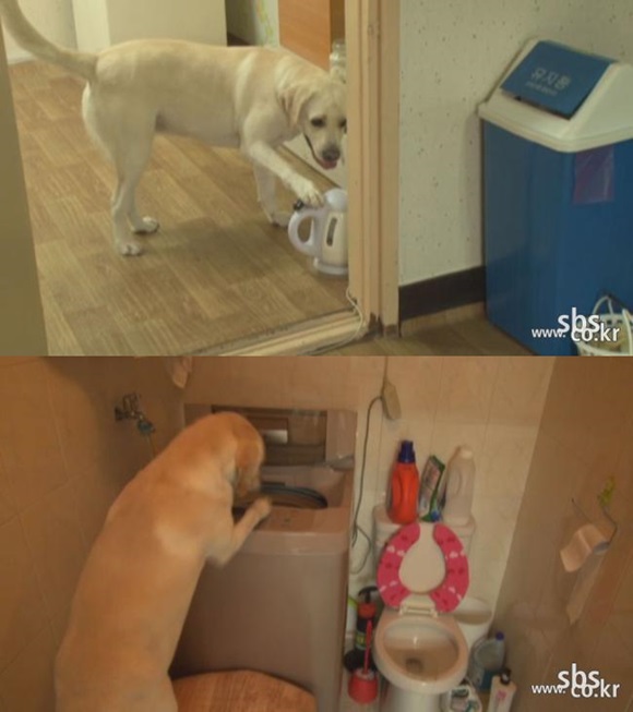 호야농장 이미지