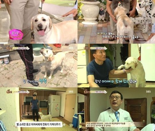 호야농장 이미지
